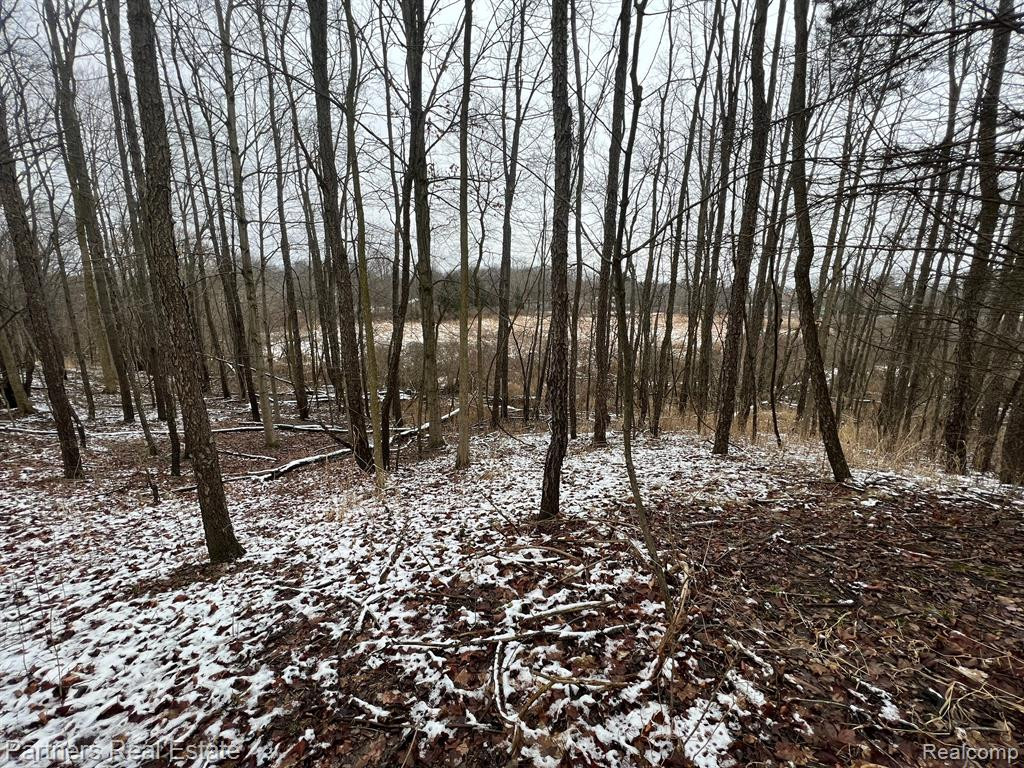 V/L Harper Road, Mason, MI 48854 — Photo 26
