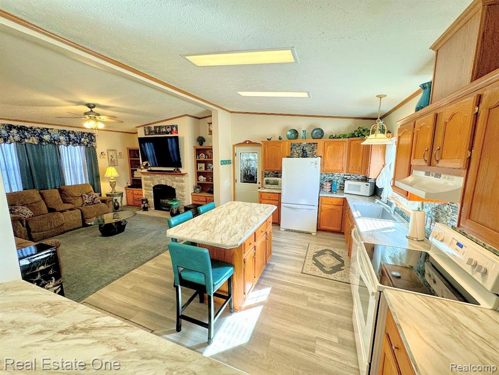 6248 STERLING Road, Yale, MI 48097 — Photo 14