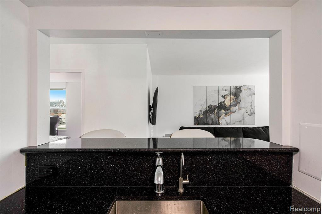 555 E William Street, 8J, Ann Arbor, MI 48104 — Photo 19