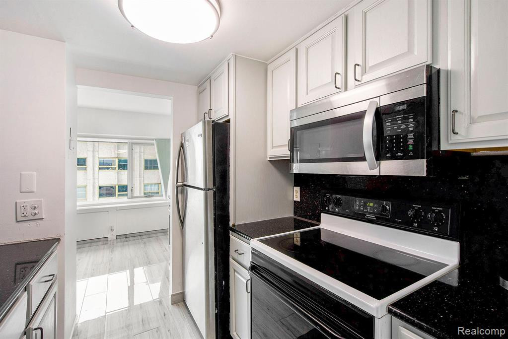 555 E William Street, 8J, Ann Arbor, MI 48104 — Photo 20