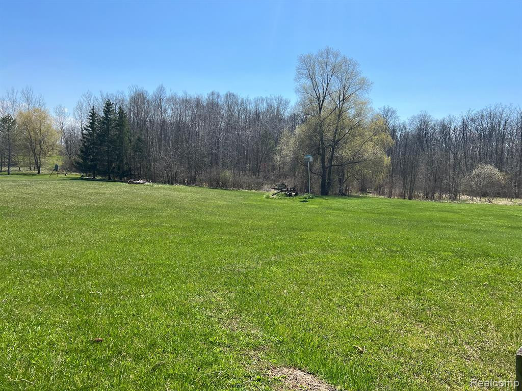 6537 NORMAN Road, MI 48032 — Photo 10