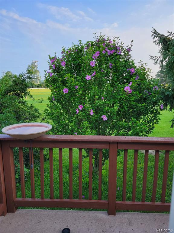 6537 NORMAN Road, MI 48032 — Photo 12