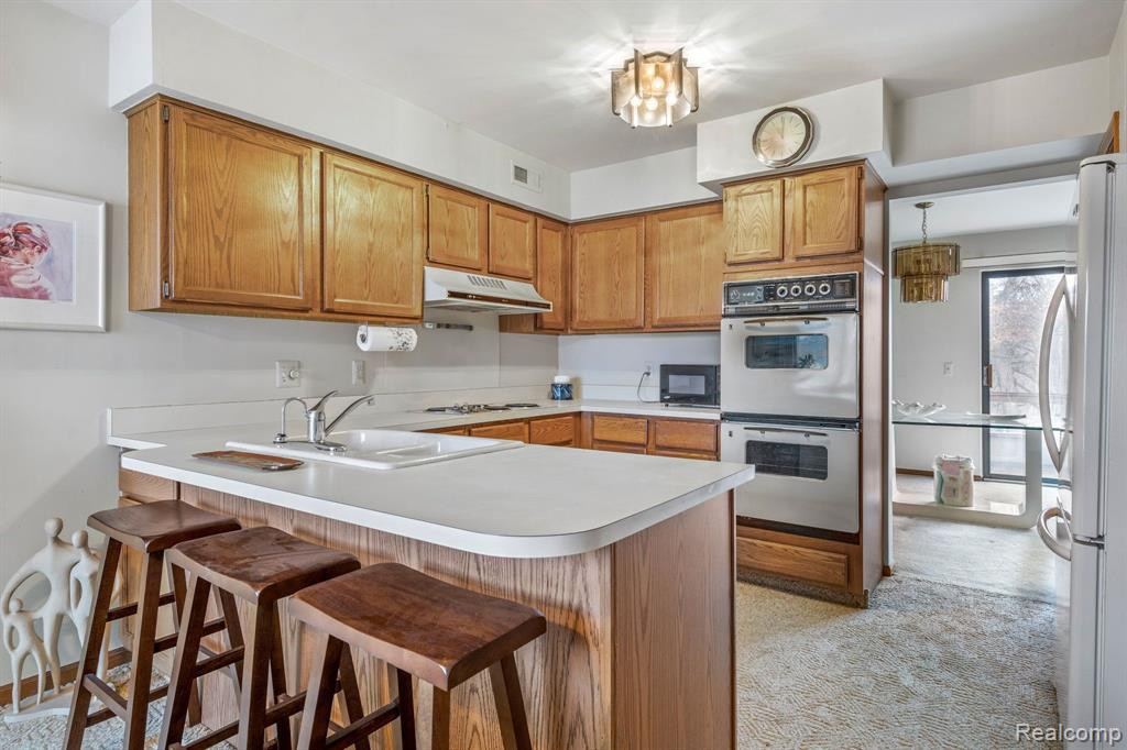 29217 W CHANTICLEER Drive, Southfield, MI 48034 — Photo 12