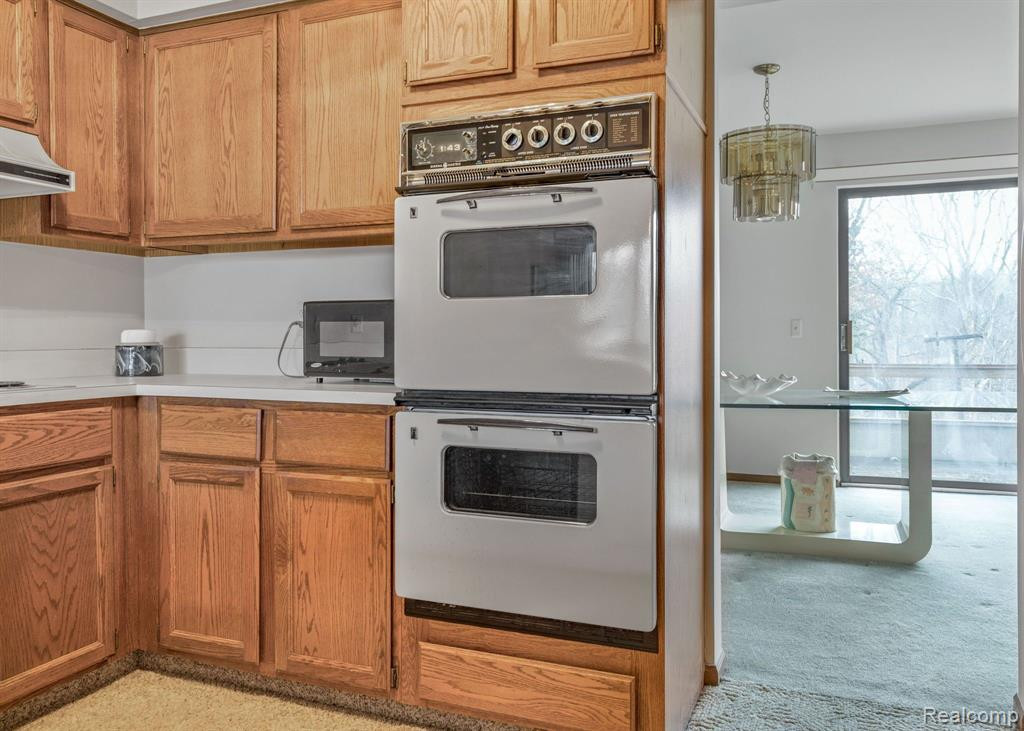 29217 W CHANTICLEER Drive, Southfield, MI 48034 — Photo 14