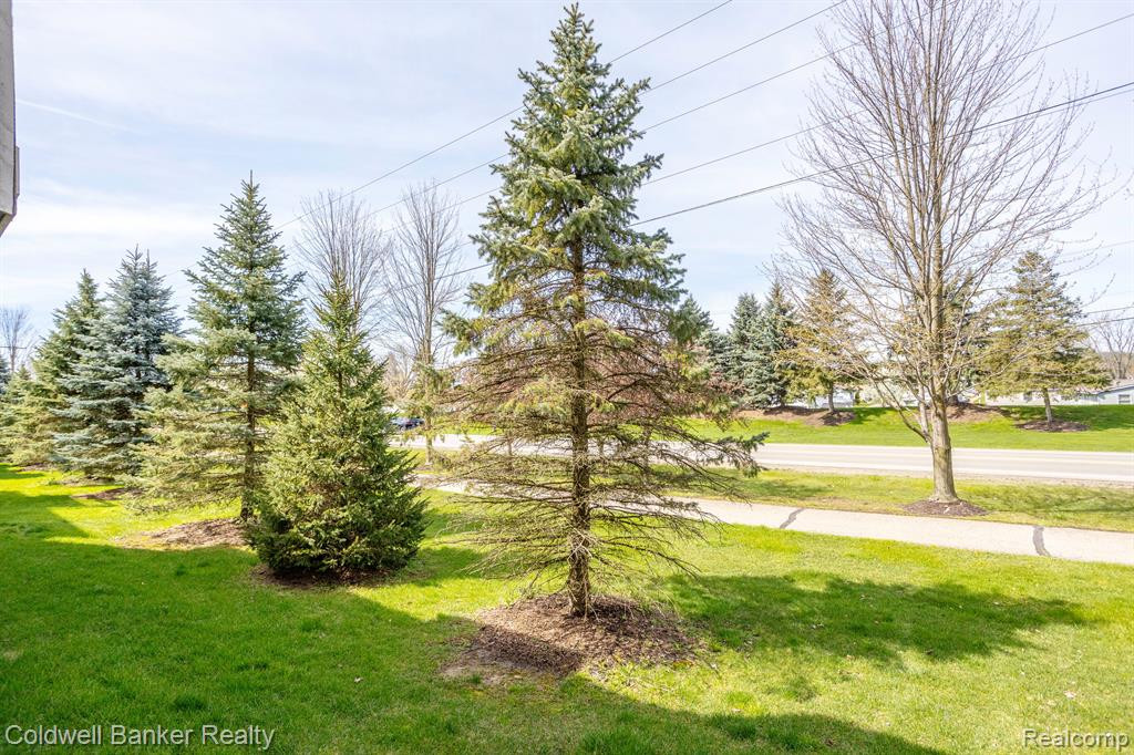 2349 PALMETTO, Commerce Twp, MI 48382 — Photo 29