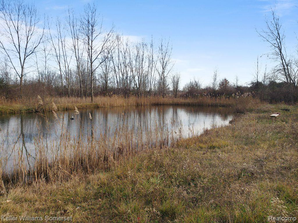 6565 SPRINGBORN Road, China, MI — Photo 45