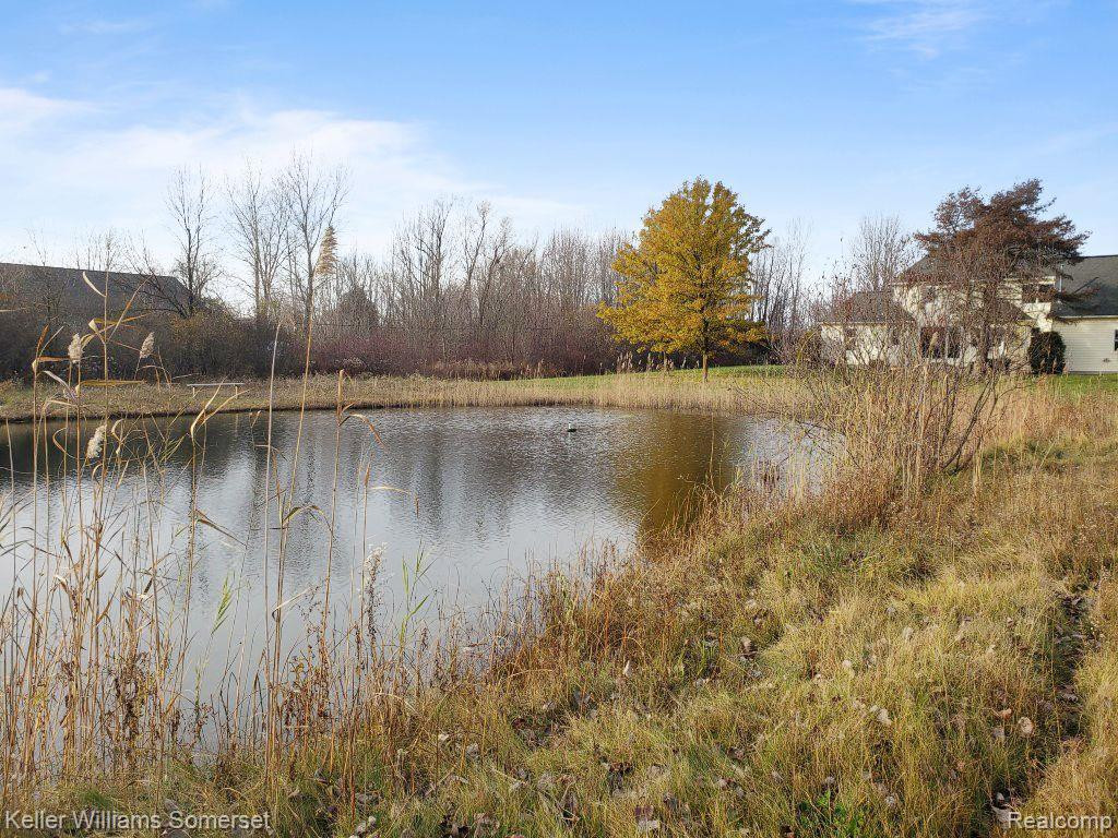 6565 SPRINGBORN Road, China, MI — Photo 48