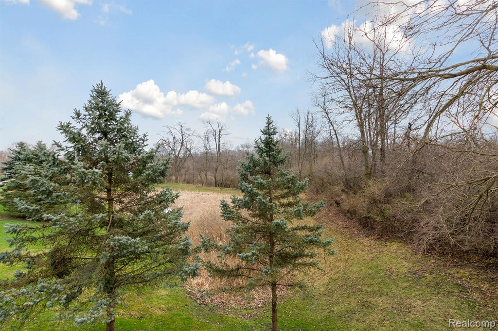 705 COVENTRY, Saline, MI 48176 — Photo 61