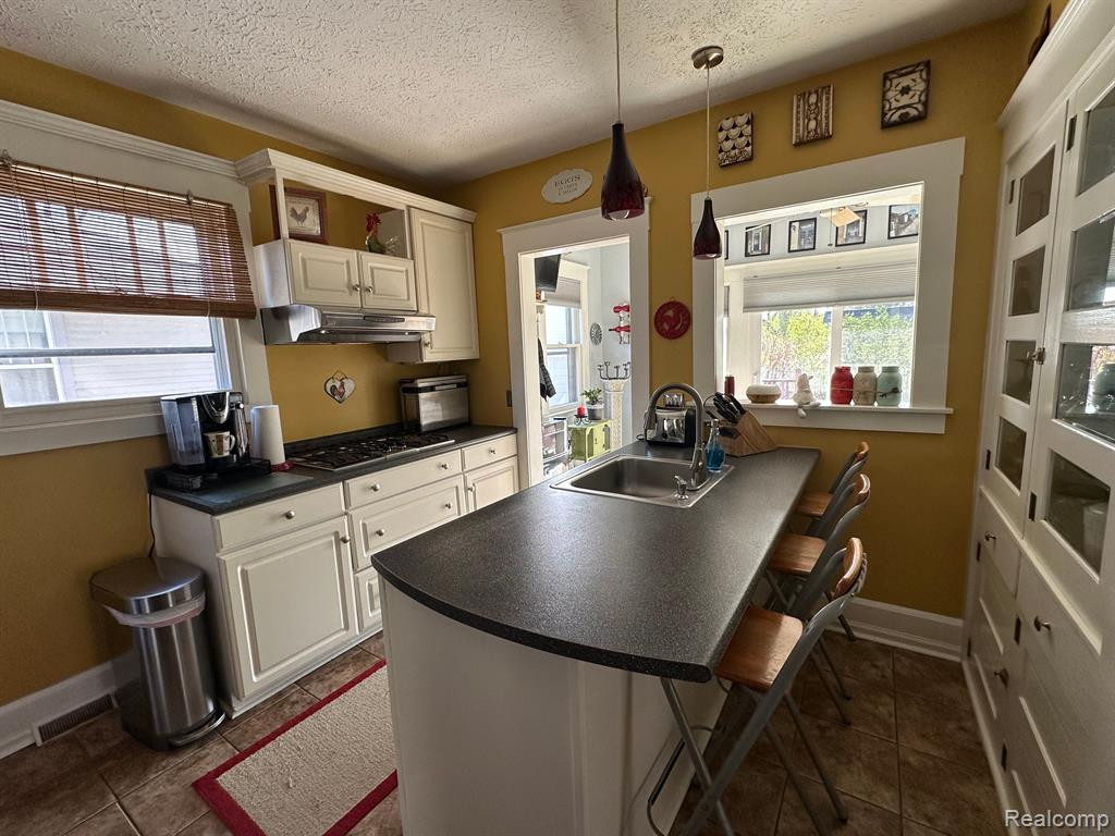 53 PONTIAC Street, Oxford, MI 48371 — Photo 6
