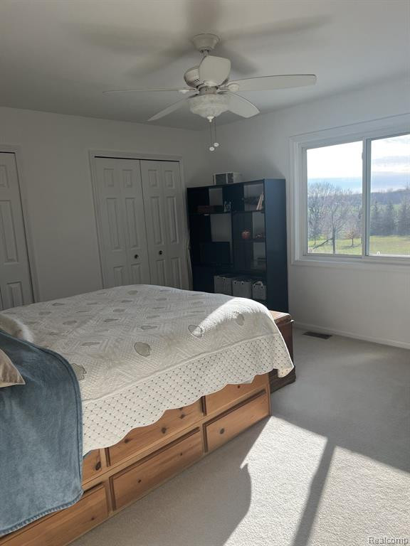 673 PENNELL Road, Imlay City, MI 48444 — Photo 11