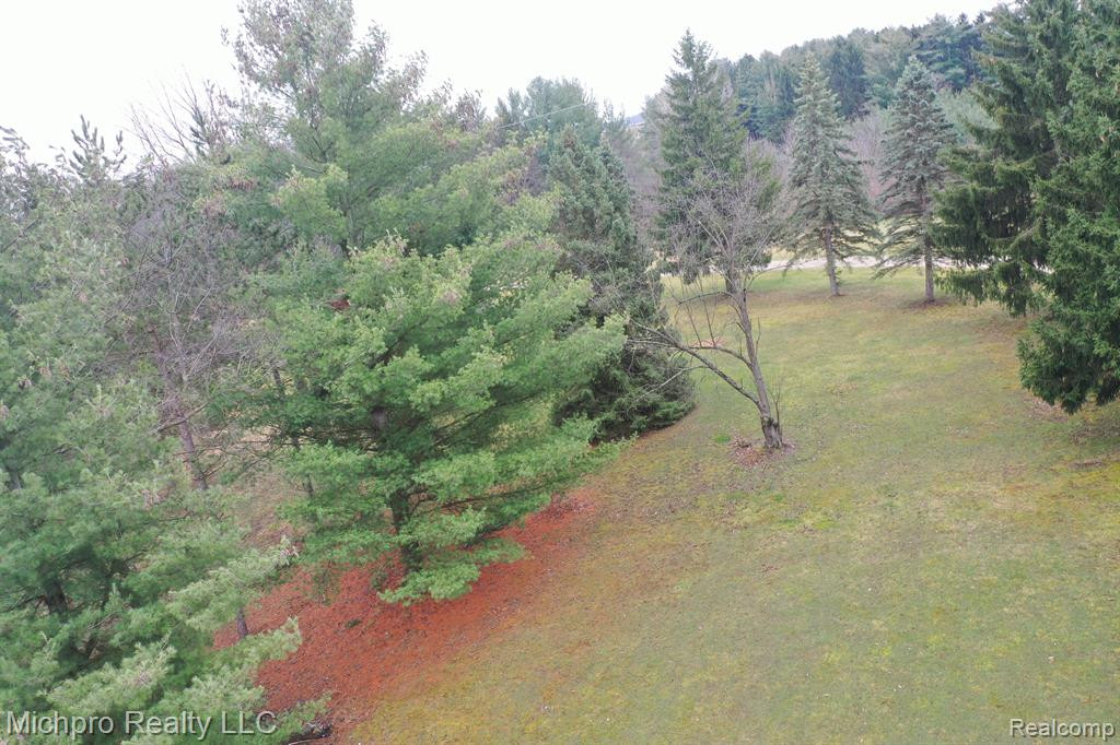 1185 SISSON Road, Imlay City, MI 48444 — Photo 47