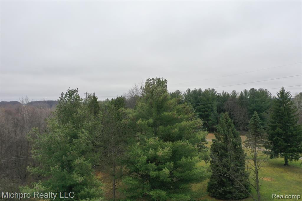 1185 SISSON Road, Imlay City, MI 48444 — Photo 49