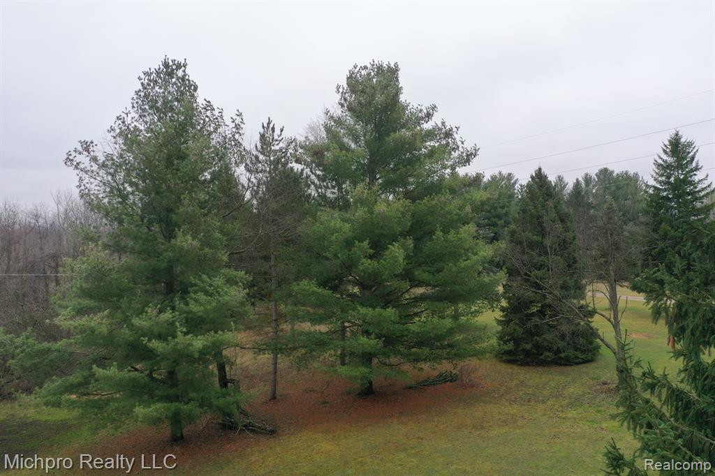 1185 SISSON Road, Imlay City, MI 48444 — Photo 50