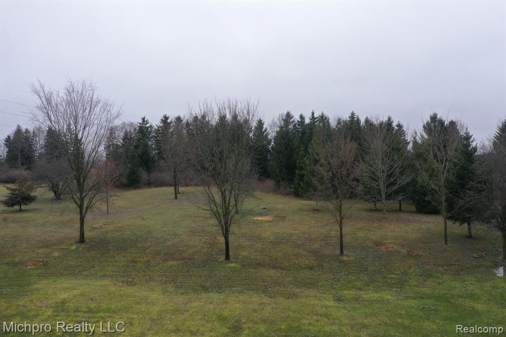 1185 SISSON Road, Imlay City, MI 48444 — Photo 52