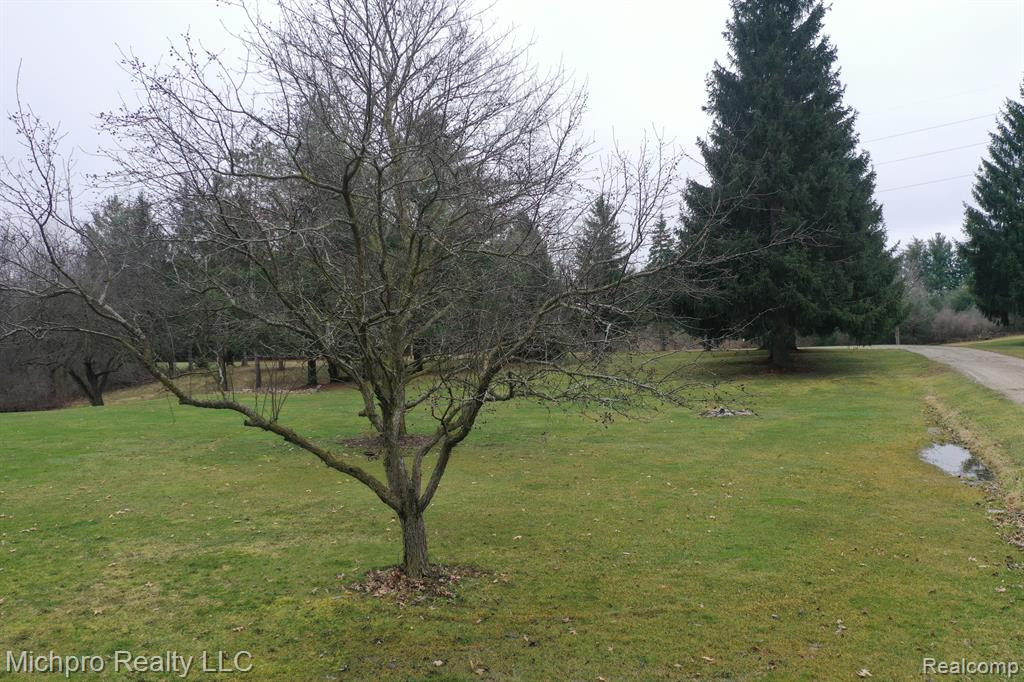 1185 SISSON Road, Imlay City, MI 48444 — Photo 58
