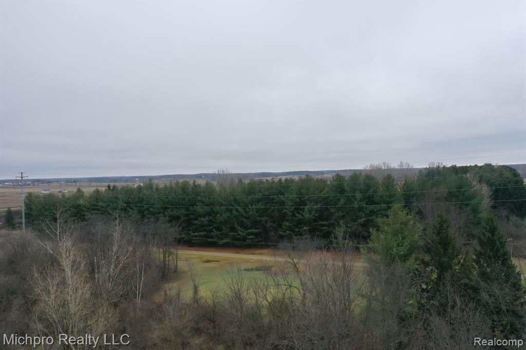 1185 SISSON Road, Imlay City, MI 48444 — Photo 70