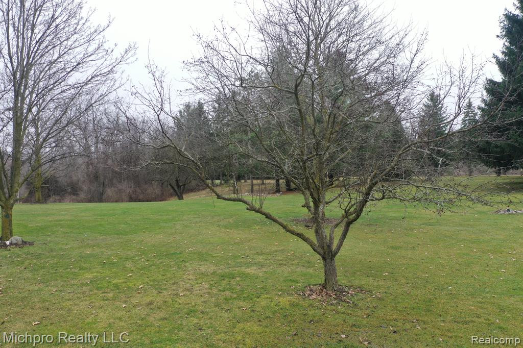 1185 SISSON Road, Imlay City, MI 48444 — Photo 74