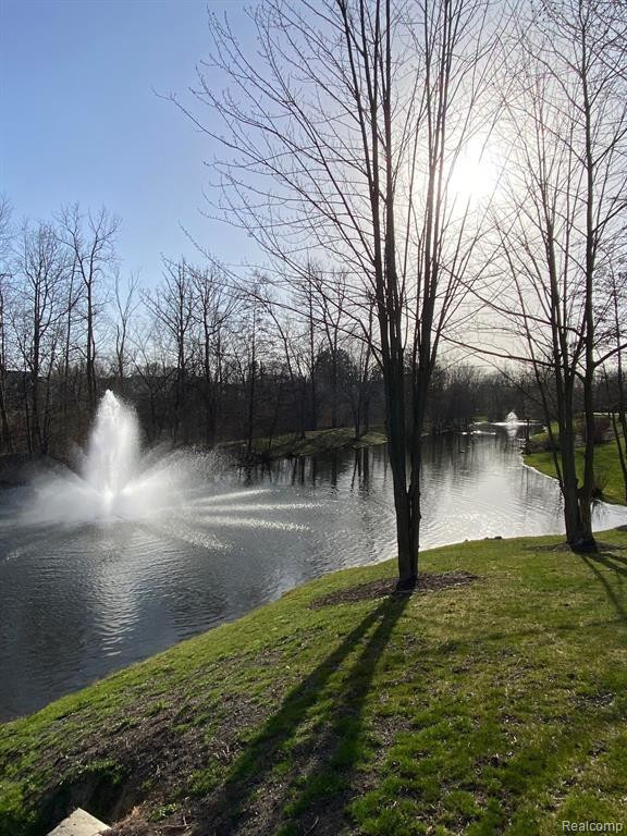 23202 ALEXA Drive, Walled Lake, MI 48390 — Photo 59