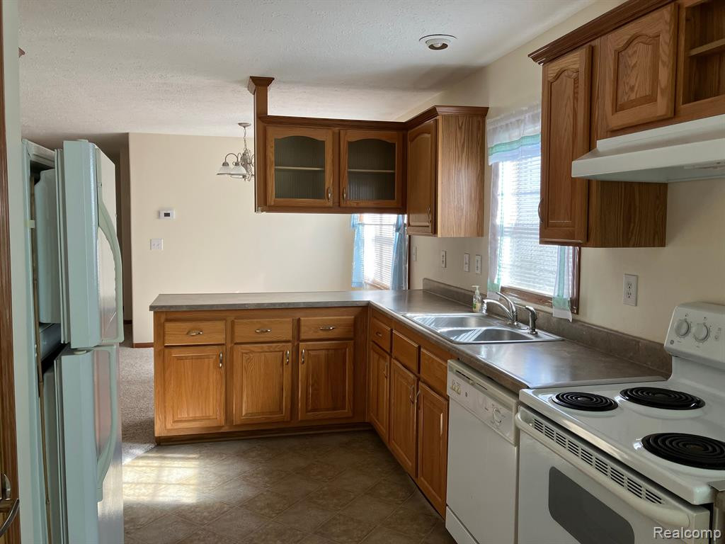 440 Hidden Ridge Road, Morrice, MI 48857 — Photo 4