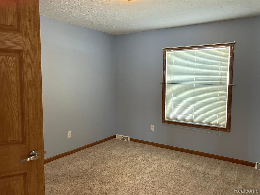 440 Hidden Ridge Road, Morrice, MI 48857 — Photo 9