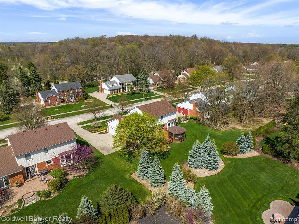 49309 PLUM TREE Drive, Plymouth, MI 48170 — Photo 13
