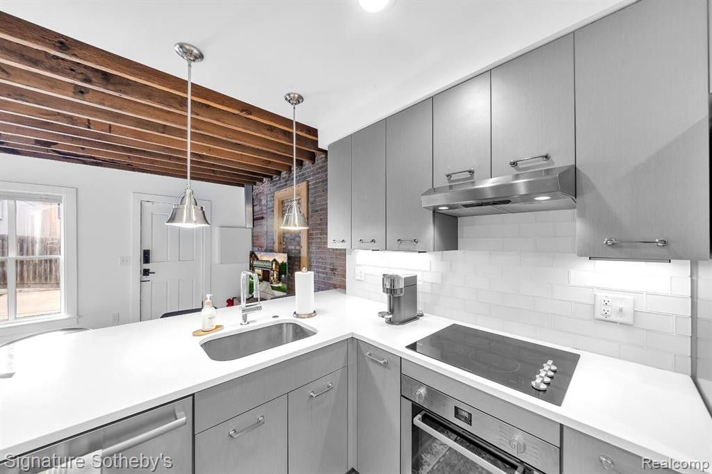 216 CATHERINE Street, Ann Arbor, MI 48104 — Photo 48