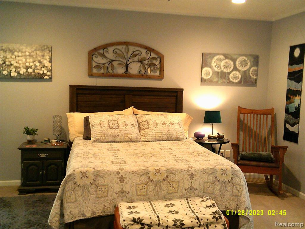 10109 RIDGE RUN Street, 15, Howell, MI 48855 — Photo 10