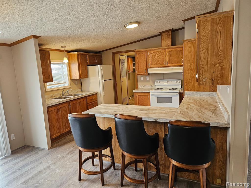 7356 Bagpipe Drive, Alma, MI 48801 — Photo 3