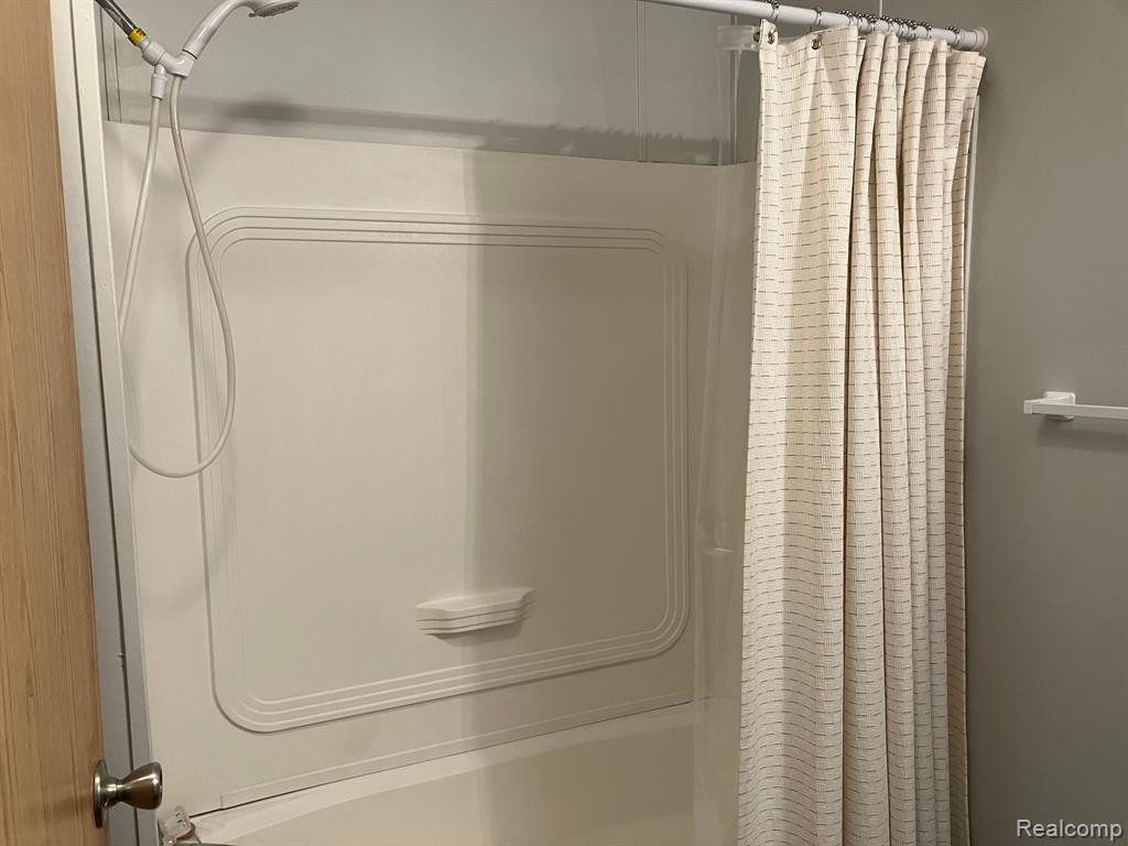 411 N Katie Lane, Morrice, MI 48857 — Photo 8