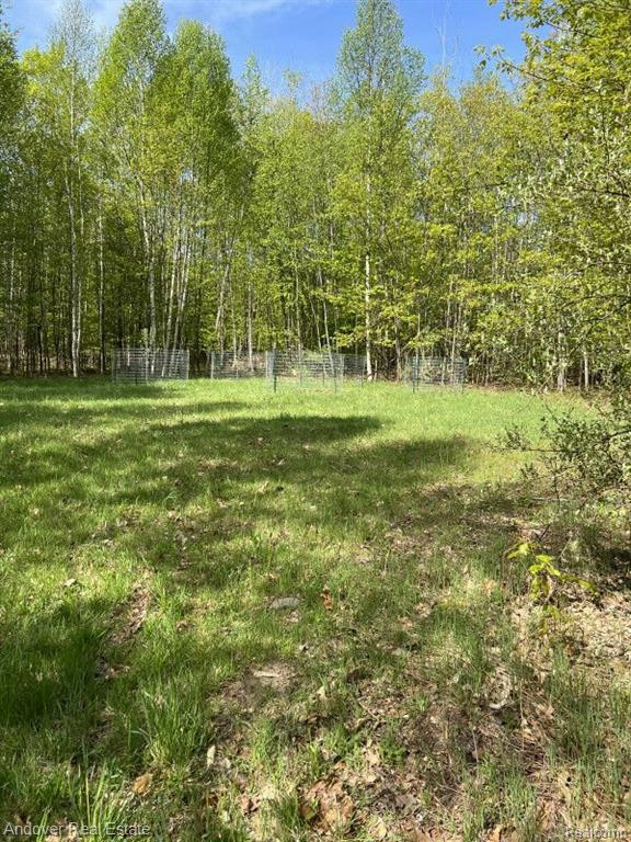 4177 N M 33, Rose City, MI 48654 — Photo 18