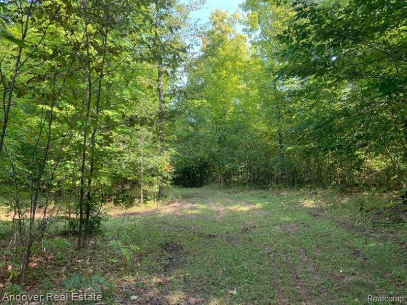 4177 N M 33, Rose City, MI 48654 — Photo 36