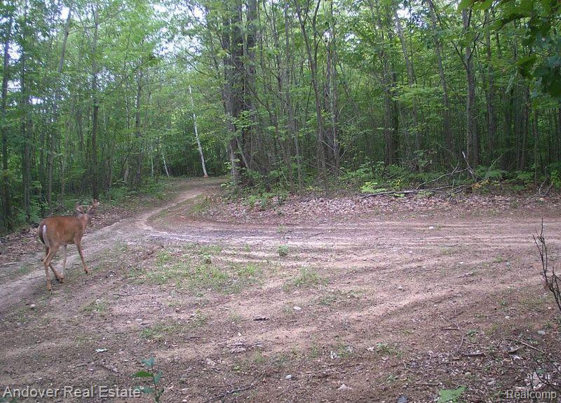 4177 N M 33, Rose City, MI 48654 — Photo 38