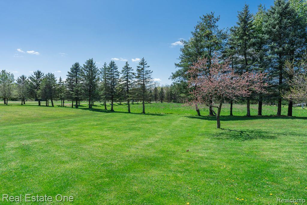 3320 KILGORE Road, Kenockee, MI 48006 — Photo 6