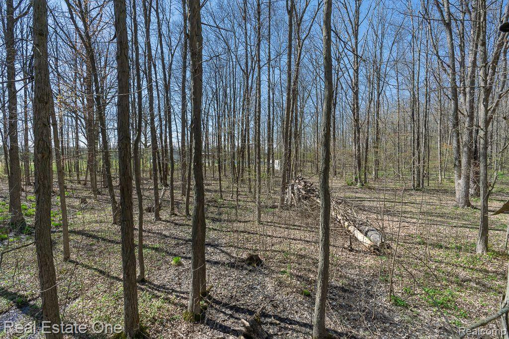 3320 KILGORE Road, Kenockee, MI 48006 — Photo 61