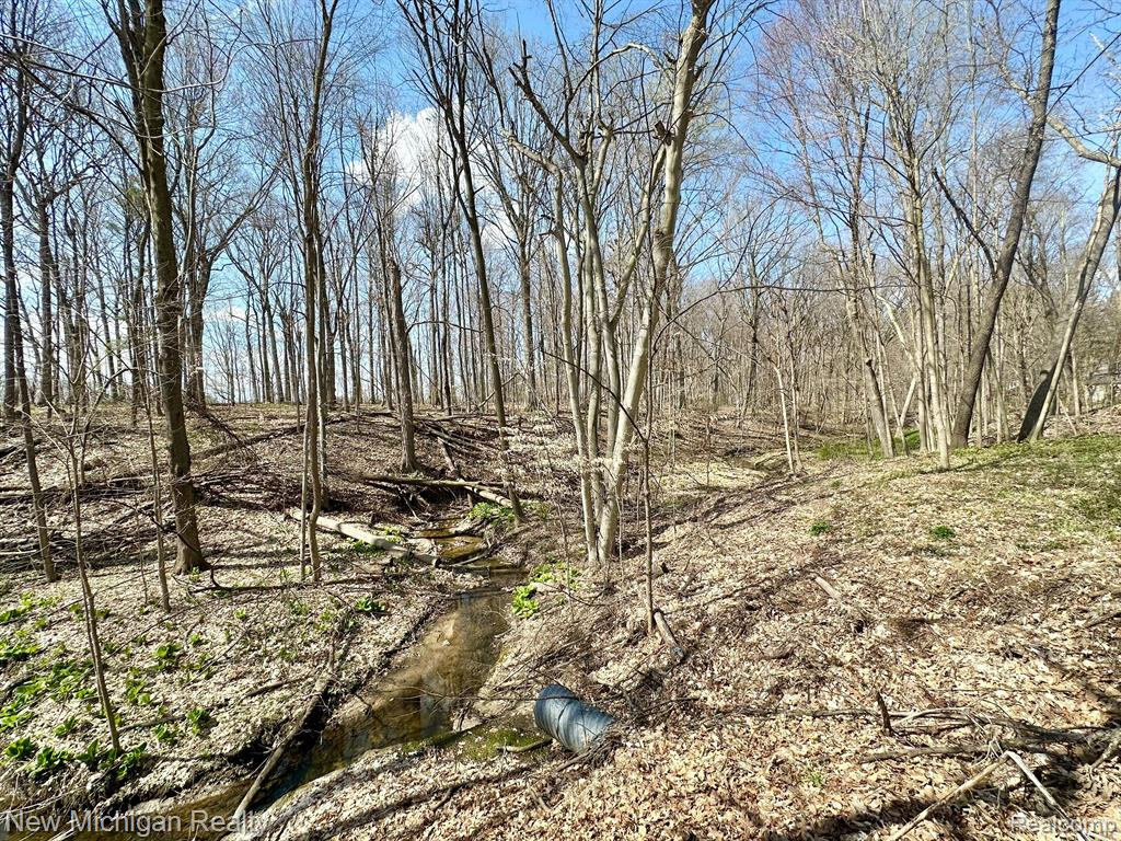 5289 CONESTOGA Drive, Flushing, MI 48433 — Photo 53