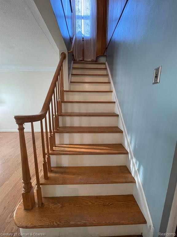 4227 LAFAYETTE Boulevard, Lincoln Park, MI 48146 — Photo 19