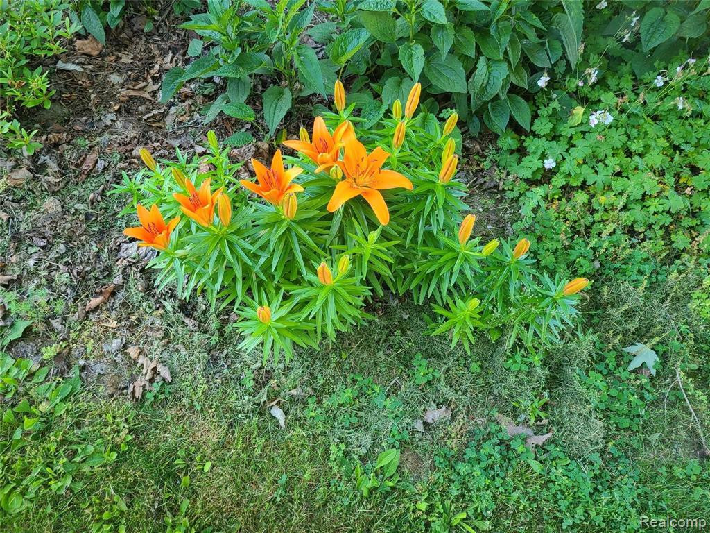 5195 Lake Michigan Drive, Allendale, MI, 49401