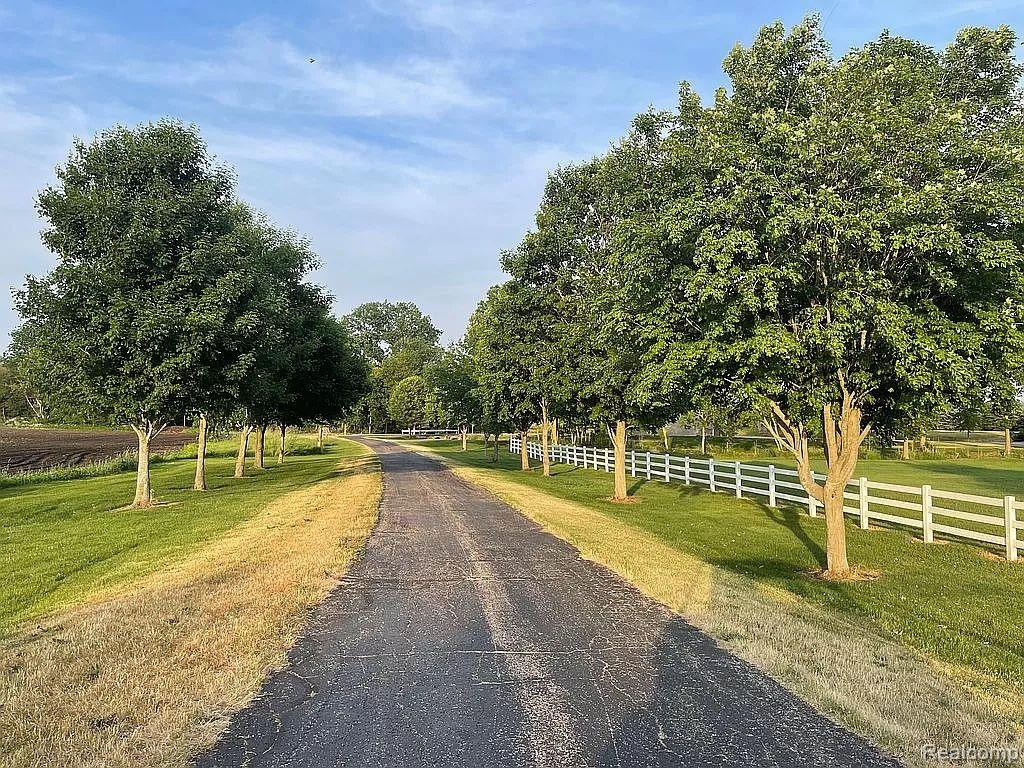 89561 Country Road 215, Decatur, MI 49045 — Photo 10