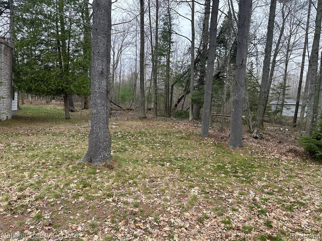 4261 N LAKE SHORE Drive, Black River, MI 48721 — Photo 3