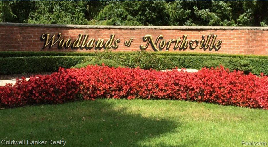 44407 WHITE PINE Circle W, Northville, MI 48168 — Photo 45