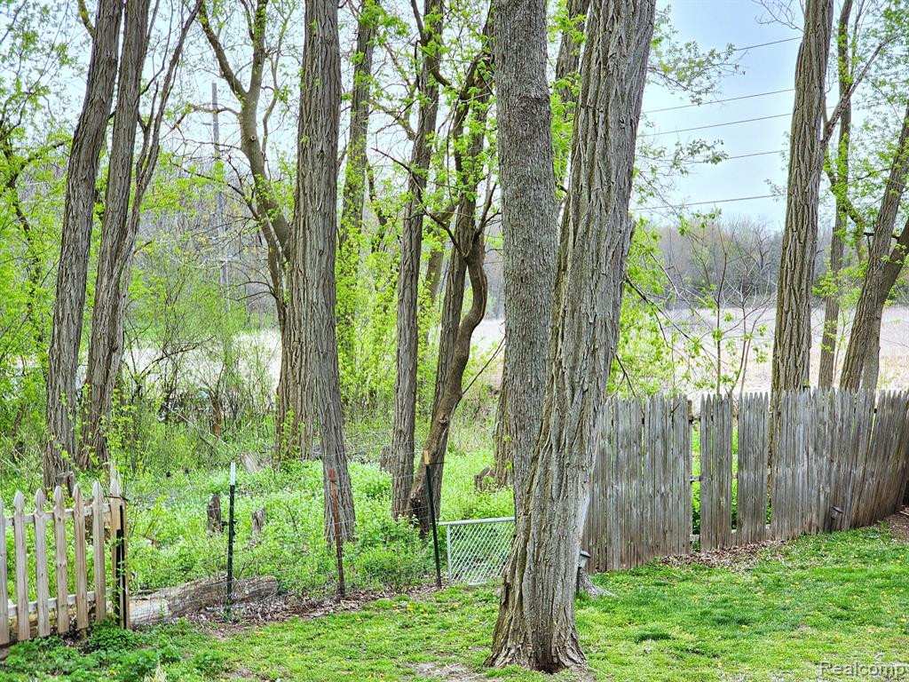 504 E SHORE Drive, Whitmore Lake, MI 48189 — Photo 14