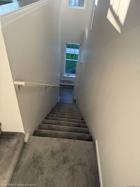 9940 RIDGE RUN Street, Howell, MI 48855 — Photo 2