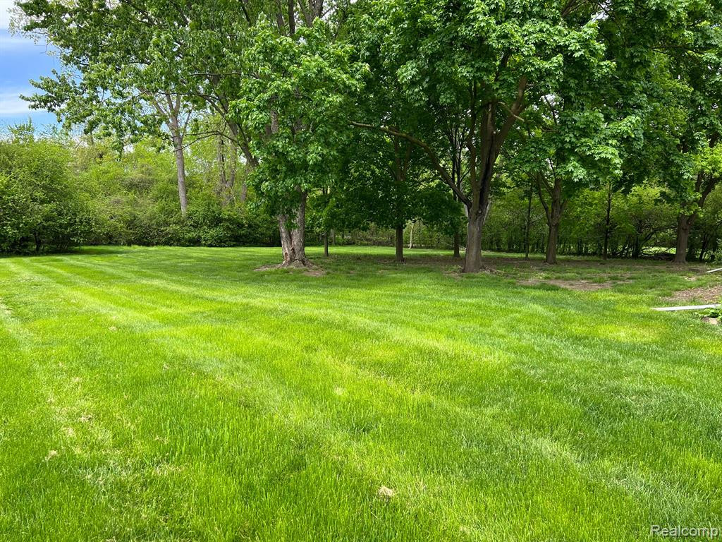 19477 MAXWELL Street, Northville, MI 48167 — Photo 3