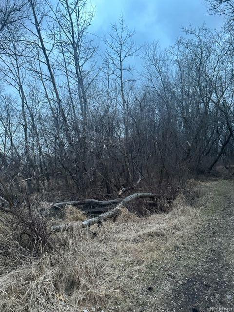 5711 SCYTHE Court, Gregory, MI 48137 — Photo 3