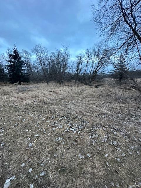 5711 SCYTHE Court, Gregory, MI 48137 — Photo 12