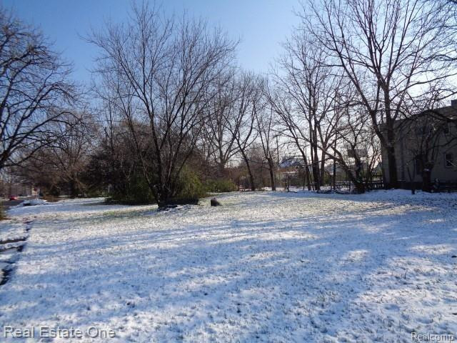 2738 ROSA PARKS BLVD, Detroit, MI 48216 — Photo 3