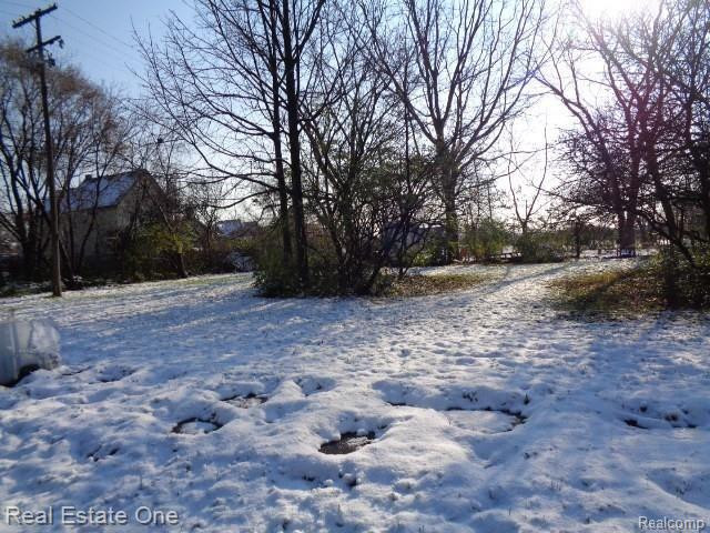 2738 ROSA PARKS BLVD, Detroit, MI 48216 — Photo 5