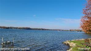 1621 GREENWOOD Court, Brooklyn, MI 49230 — Photo 4