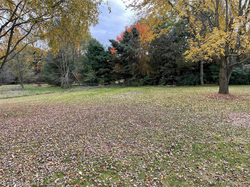 9845 York Woods Drive, Saline, MI 48176 — Photo 5