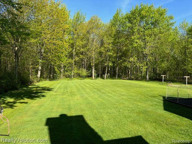 3549 BRICKER Road, Avoca, MI 48006 — Photo 31